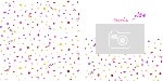 asteroskoni_23x23_hard