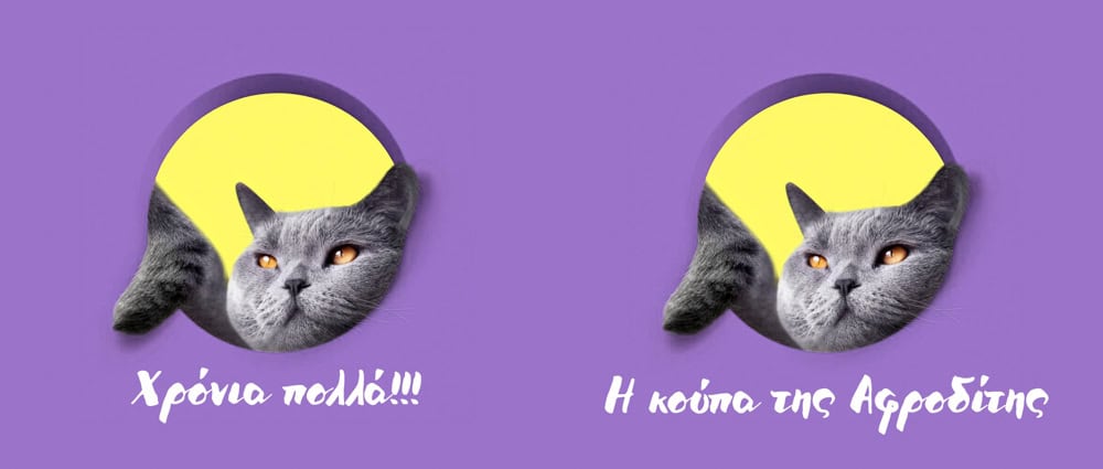 Κούπα Προσωποποιημένη, γατούλα an69