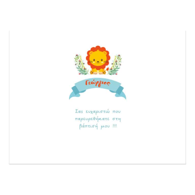 Σουπλά με όνομα Λιονταράκι 14