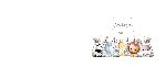 16photobook16x22newhard